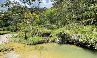 Venta de lotes en San Roque, Antioquia