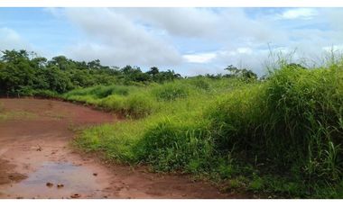 Se Vende Terreno en Pacora