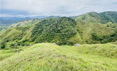Venta de Finca en San Roque, Antioquia