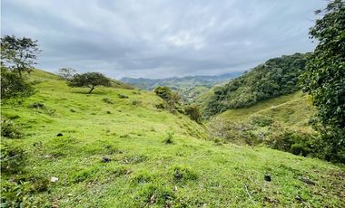 Venta de Finca en San Roque, Antioquia