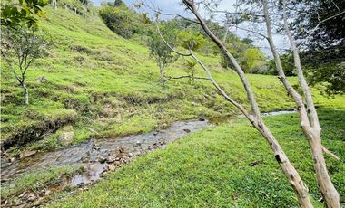 Venta de Finca en San Roque, Antioquia
