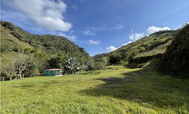 Venta de Finca en San Roque, Antioquia