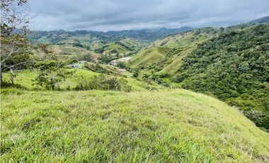 Venta de Finca en San Roque, Antioquia