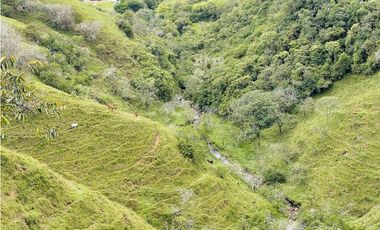 Venta de Finca en San Roque, Antioquia