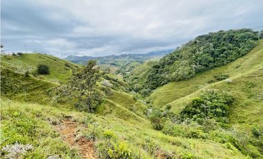 Venta de Finca en San Roque, Antioquia