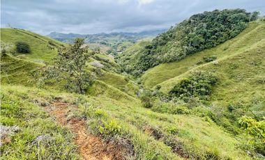 Venta de Finca en San Roque, Antioquia