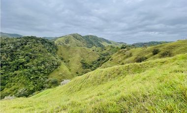 Venta de Finca en San Roque, Antioquia