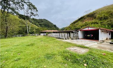 Venta de Finca en San Roque, Antioquia