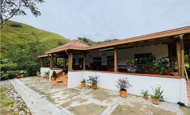 Venta de Finca en San Roque, Antioquia