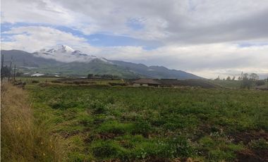 ¡Oportunidad Única en Olmedo 7.700 m2 EN VENTA!