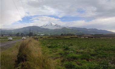 ¡Oportunidad Única en Olmedo 7.700 m2 EN VENTA!