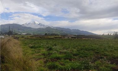 ¡Oportunidad Única en Olmedo 7.700 m2 EN VENTA!