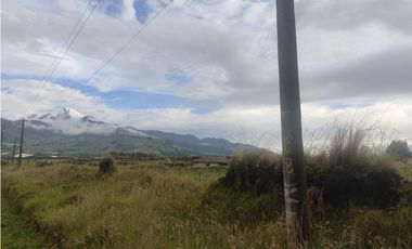 ¡Oportunidad Única en Olmedo 7.700 m2 EN VENTA!