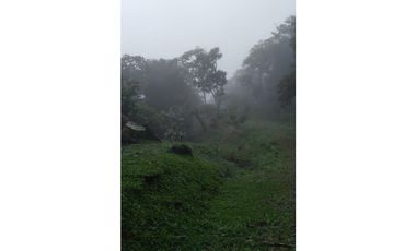 KH| Se vende terreno de 1.3 Hectáreas en Palmira, boquete