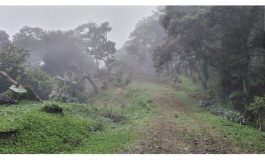 KH| Se vende terreno de 1.3 Hectáreas en Palmira, boquete