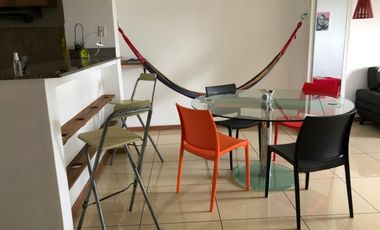 ALQUILER APARTAMENTO SEMI AMOBLADO CONDADO DEL REY