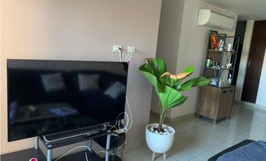 ALQUILER APARTAMENTO AMOBLADO CONDADO DEL REY