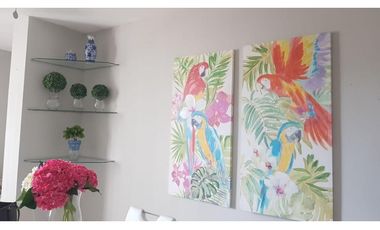 ALQUILER APARTAMENTO AMOBLADO CONDADO DEL REY