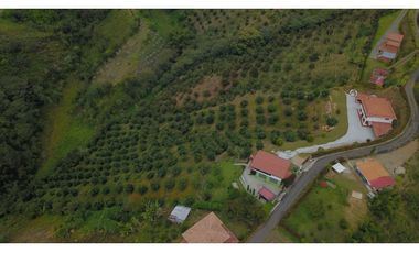 VENTA FINCA EN MARINILLA
