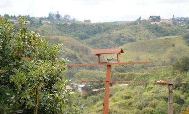 VENTA FINCA EN MARINILLA