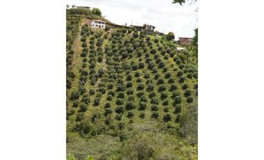 VENTA FINCA EN MARINILLA