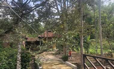 Dijual Rumah Mewah Estetik di Mojogedang, Karanganyar