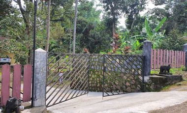 Dijual Rumah Mewah Estetik di Mojogedang, Karanganyar