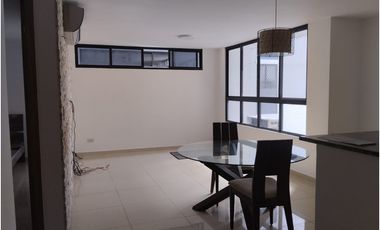 ALQUILER APARTAMENTO CONDADO DEL REY