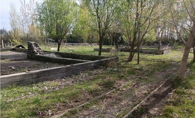 SE VENDE CAMPO DE 3,5 HECTREAS EX ZOOLÓGICO LOS NGELES