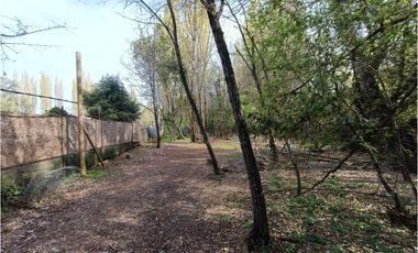 SE VENDE CAMPO DE 3,5 HECTREAS EX ZOOLÓGICO LOS NGELES