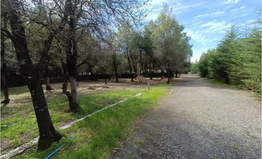 SE VENDE CAMPO DE 3,5 HECTREAS EX ZOOLÓGICO LOS NGELES