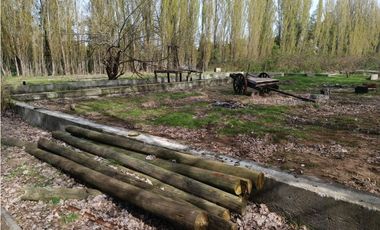 SE VENDE CAMPO DE 3,5 HECTREAS EX ZOOLÓGICO LOS NGELES