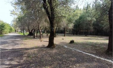 SE VENDE CAMPO DE 3,5 HECTREAS EX ZOOLÓGICO LOS NGELES