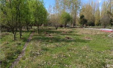 SE VENDE CAMPO DE 3,5 HECTREAS EX ZOOLÓGICO LOS NGELES