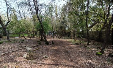 SE VENDE CAMPO DE 3,5 HECTREAS EX ZOOLÓGICO LOS NGELES