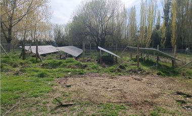 SE VENDE CAMPO DE 3,5 HECTREAS EX ZOOLÓGICO LOS NGELES