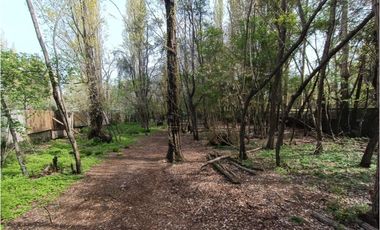 SE VENDE CAMPO DE 3,5 HECTREAS EX ZOOLÓGICO LOS NGELES