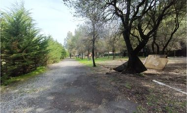 SE VENDE CAMPO DE 3,5 HECTREAS EX ZOOLÓGICO LOS NGELES