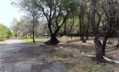 SE VENDE CAMPO DE 3,5 HECTREAS EX ZOOLÓGICO LOS NGELES