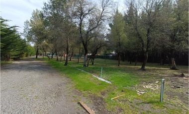 SE VENDE CAMPO DE 3,5 HECTREAS EX ZOOLÓGICO LOS NGELES