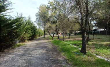 SE VENDE CAMPO DE 3,5 HECTREAS EX ZOOLÓGICO LOS NGELES