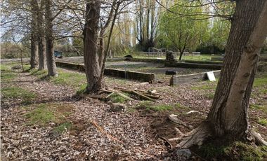 SE VENDE CAMPO DE 3,5 HECTREAS EX ZOOLÓGICO LOS NGELES