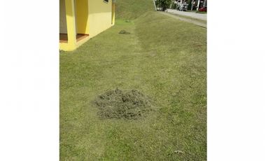 ALQUILER CASA BRISAS DE ARRAIJAN