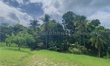 Terreno en Venta en San Carlos