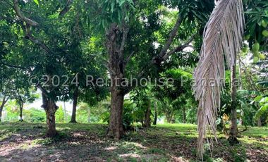 Terreno en Venta en San Carlos