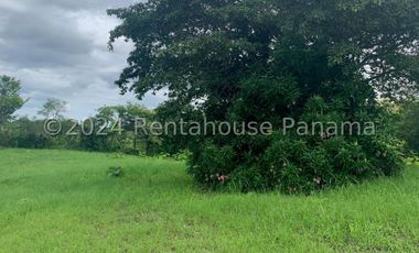 Terreno en Venta en San Carlos