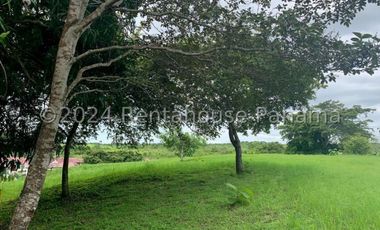 Terreno en Venta en San Carlos