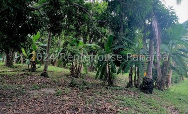 Terreno en Venta en San Carlos