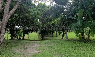 Terreno en Venta en San Carlos