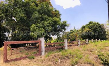 Terreno en Venta en San Carlos